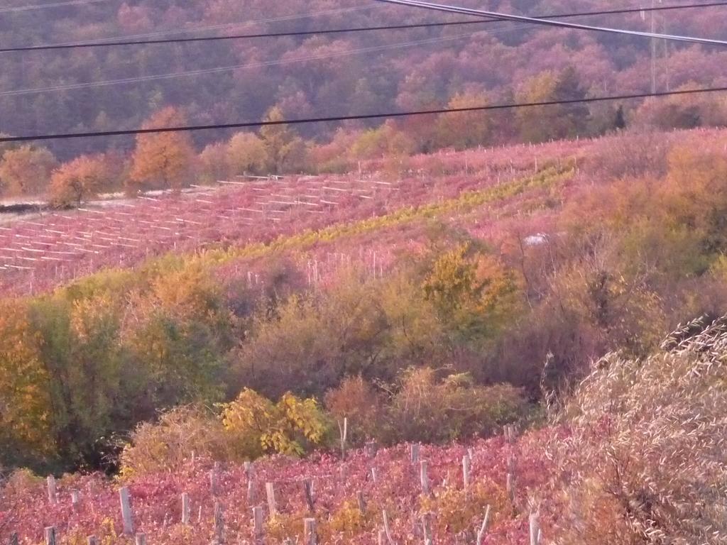 Rozina Vacation House Pliskovica Zewnętrze zdjęcie